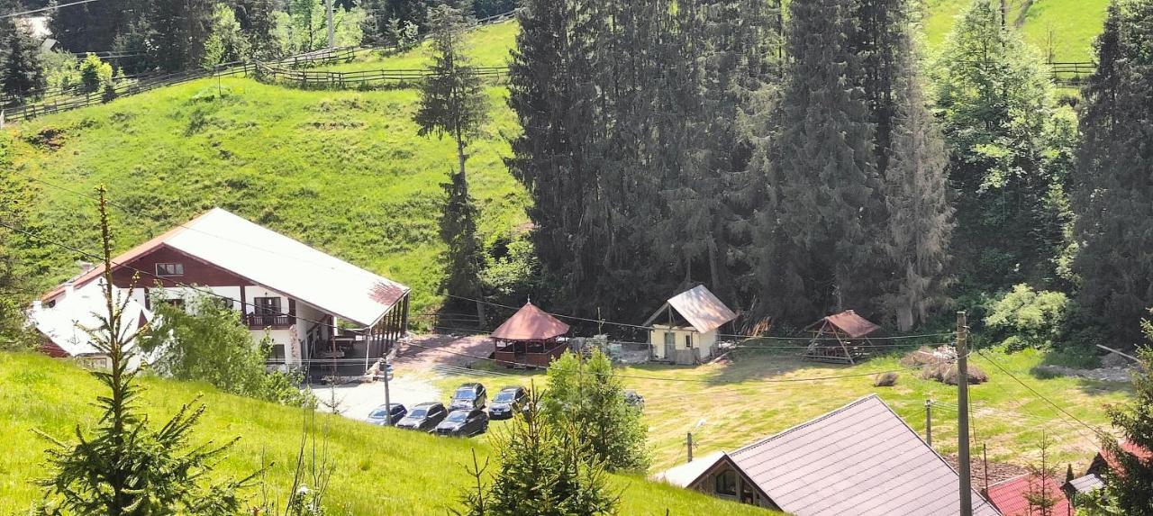 Pensiunea Trei Brazi Арьешени Экстерьер фото