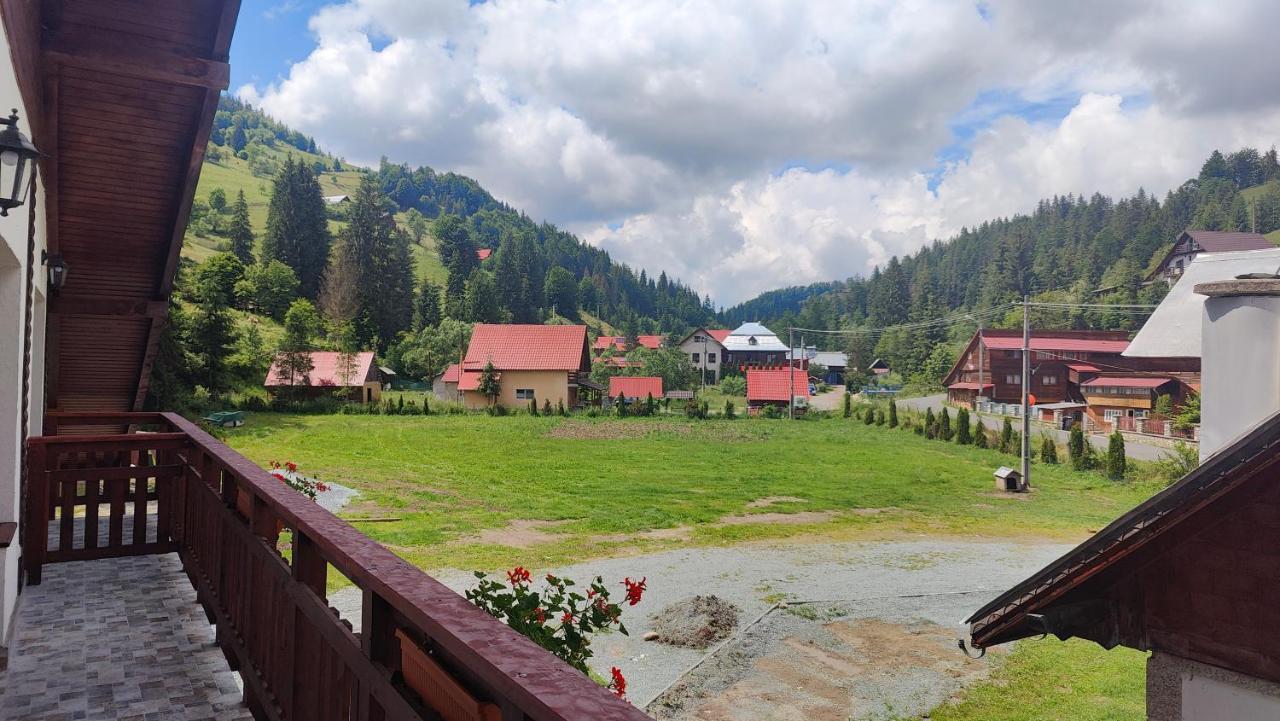Pensiunea Trei Brazi Арьешени Экстерьер фото