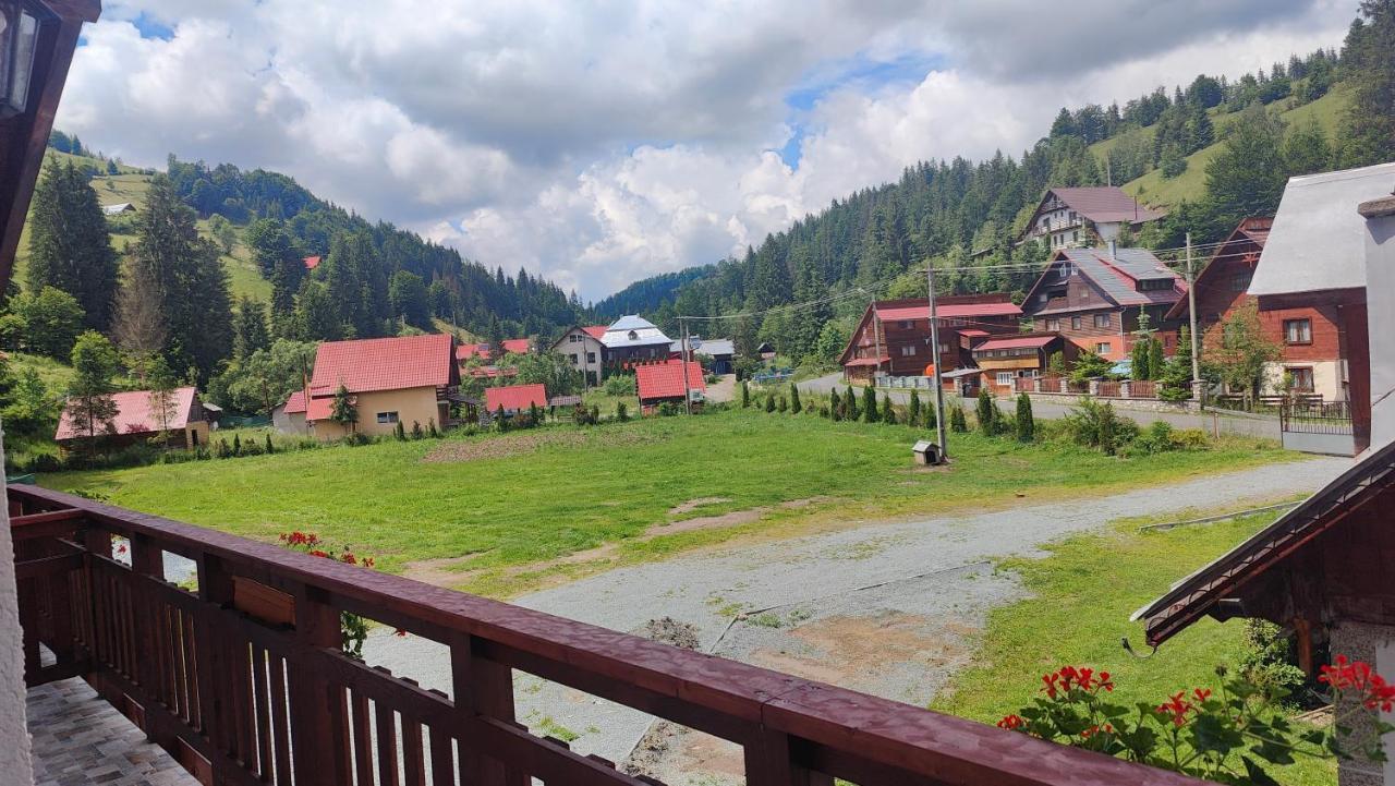 Pensiunea Trei Brazi Арьешени Экстерьер фото
